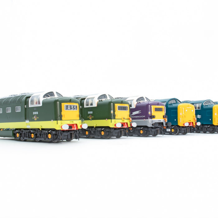 Class 55 Deltic Run 2 Update February 2024 - Decorated Samples Revealed!